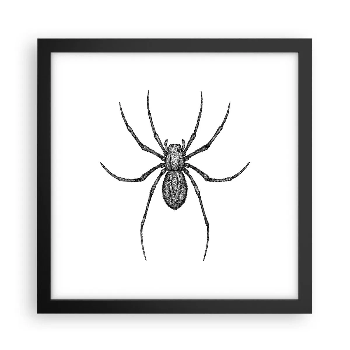 Affiche dans un cadre noir - Poster - Une précision troublante - 30x30 cm
