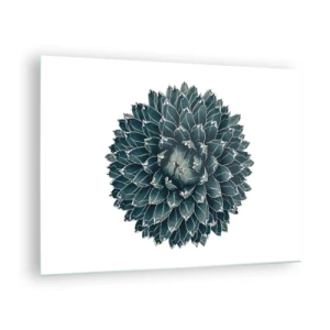 Impression sur verre - Image sur verre - Motif symétrique d'une plante succulente sur fond blanc - 70x50cm - Étoile du désert - Décoration murale moderne pour le salon et la chambre ARTTOR