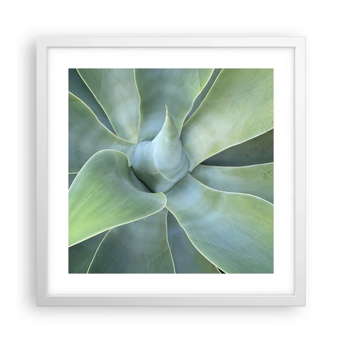 Affiche dans un cadre blanc - Poster - La naissance de la verdure - 40x40 cm