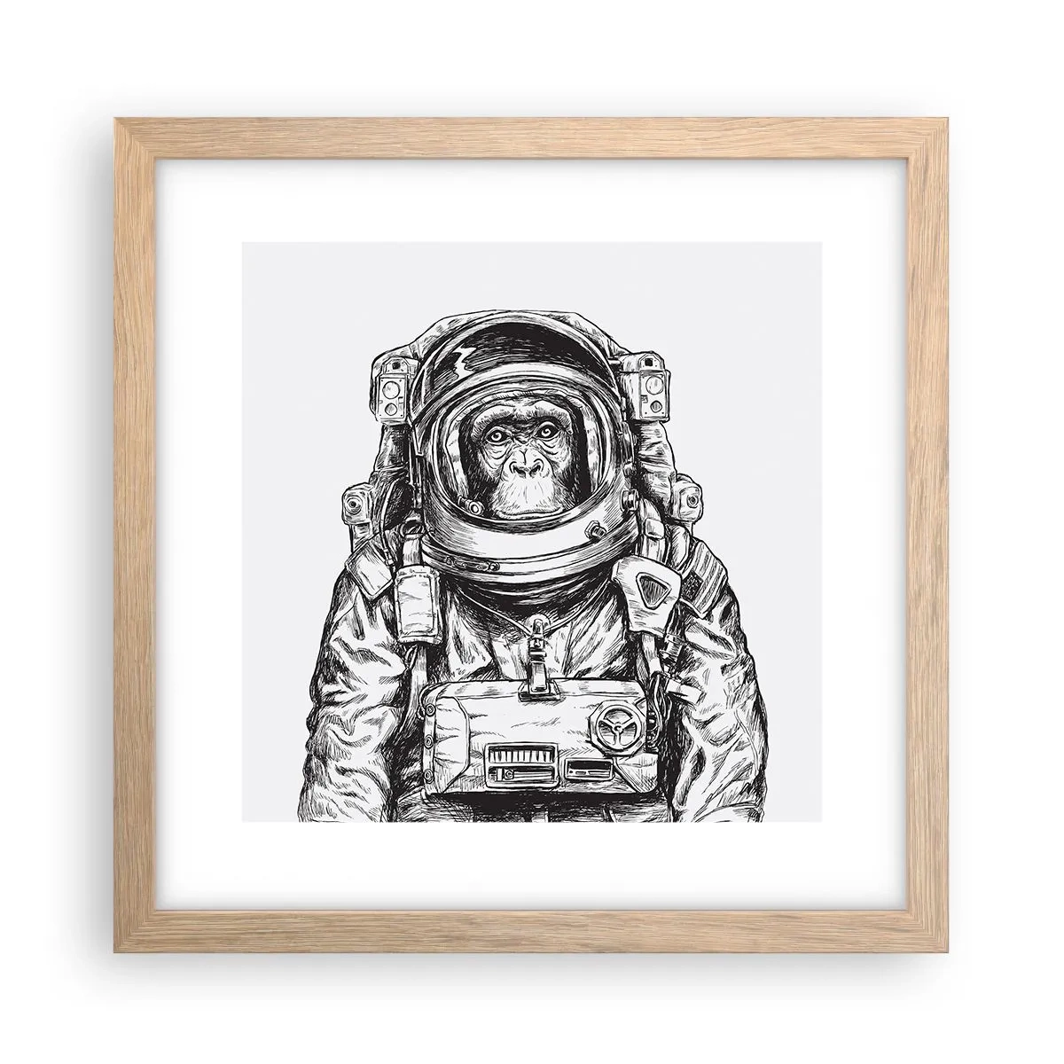 Affiche dans un chêne clair - Poster - Évolution alternative - 30x30 cm