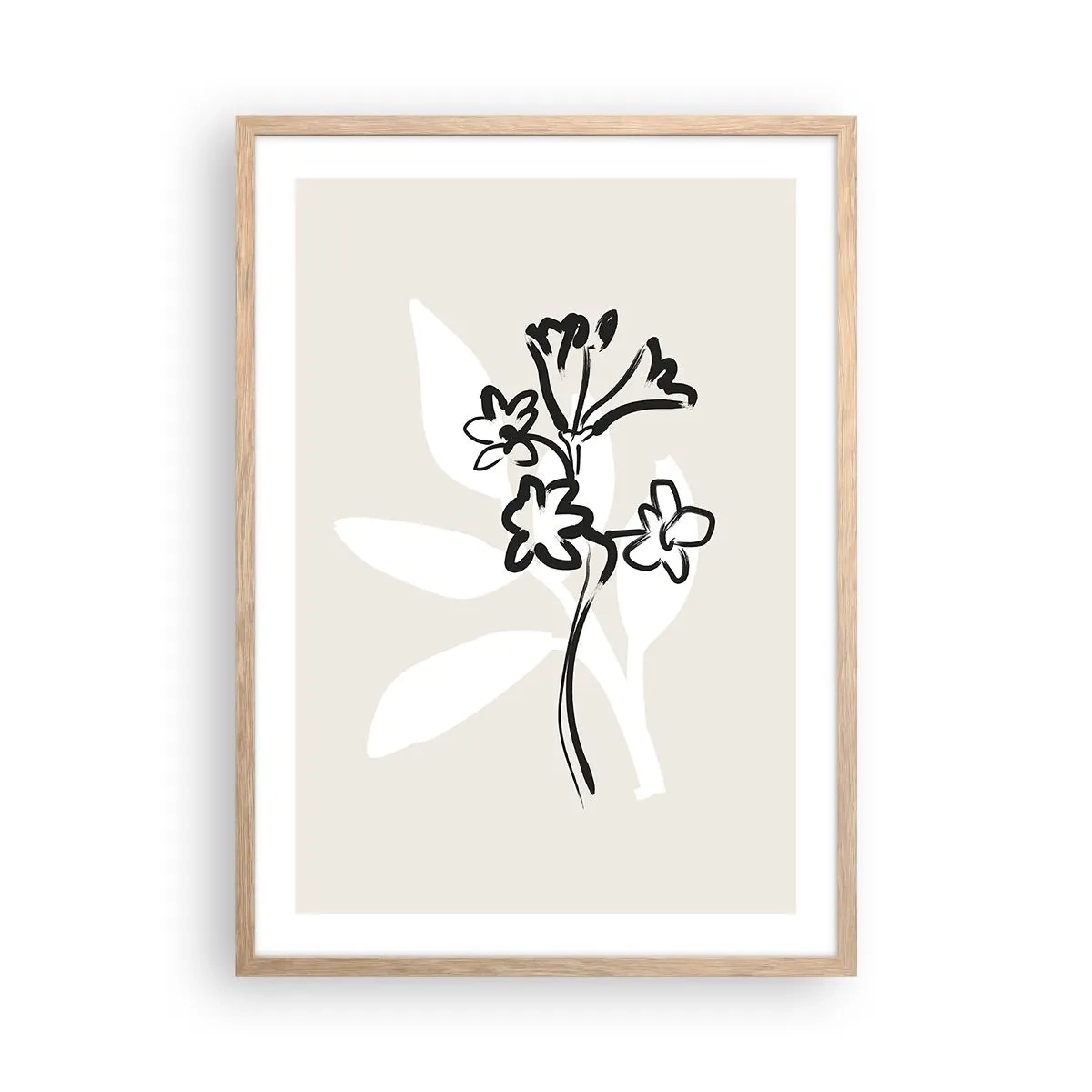 Affiche dans un chêne clair - Poster - Esquisse pour l'herbier - 50x70 cm