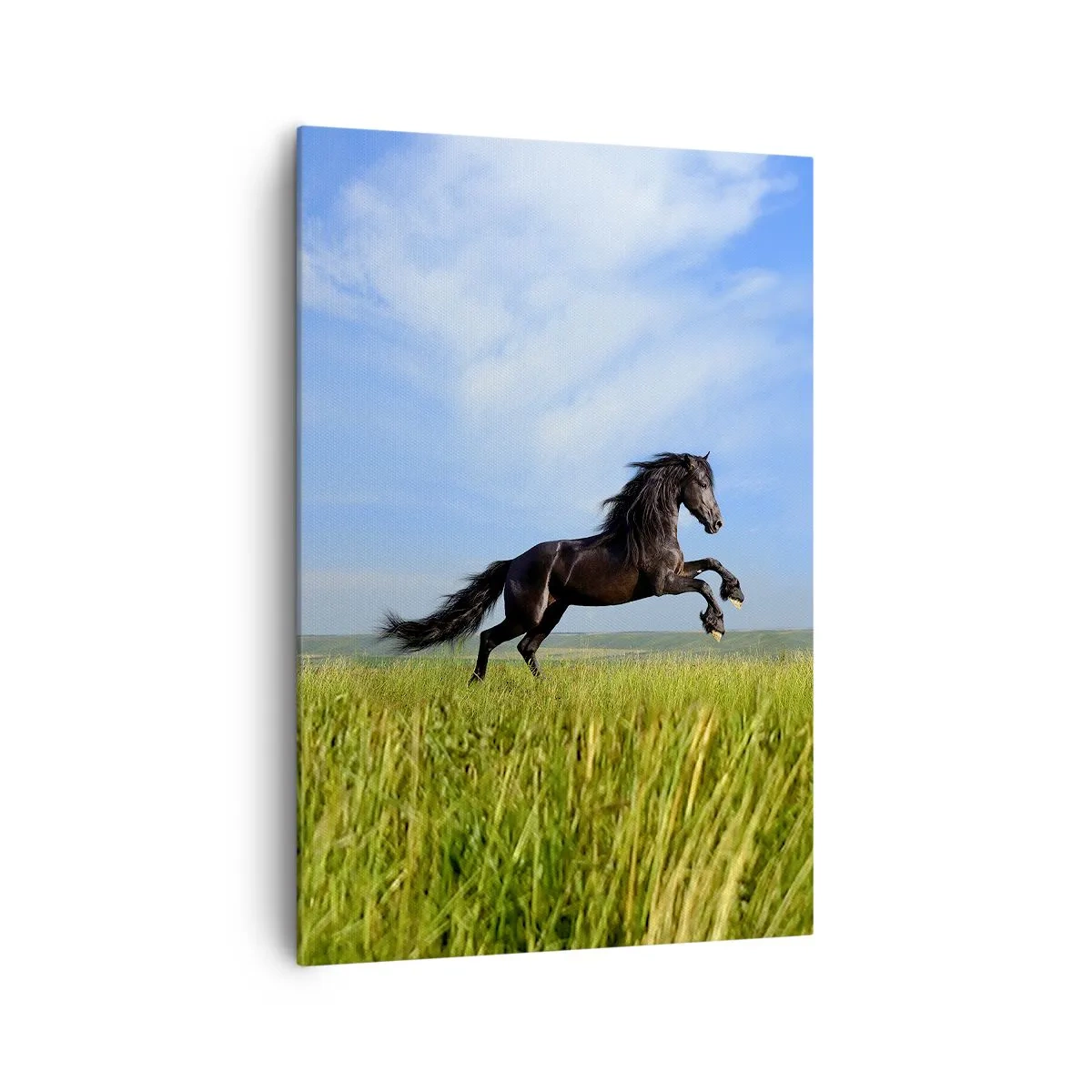Impression sur toile - Image sur toile - Un cheval noir courant contre un ciel bleu et une prairie verte - 70x100cm - Un manifeste de liberté passionnant - Décoration murale moderne pour le salon et la chambre ARTTOR
