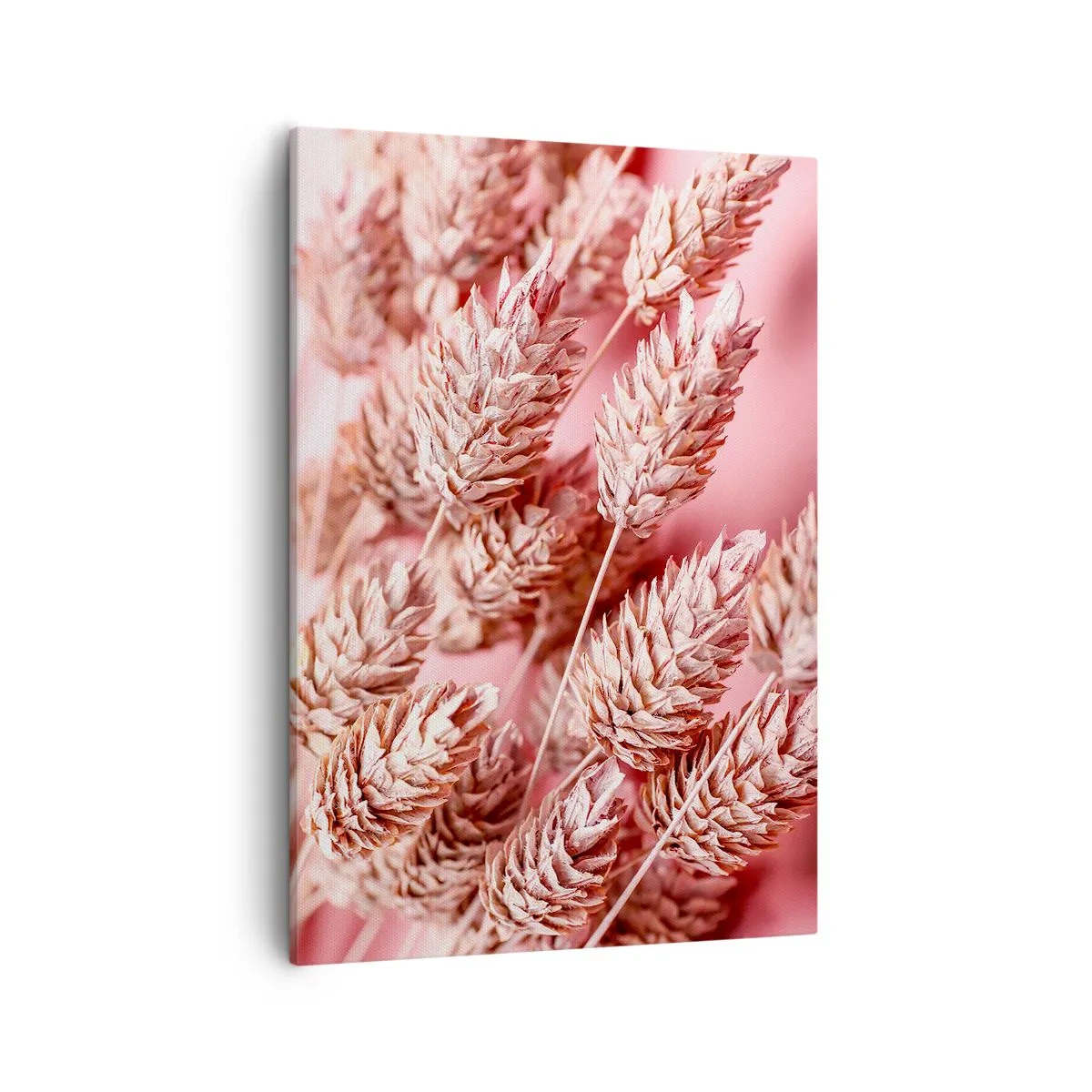 Impression sur toile - Image sur toile - Gros plan des oreilles teintées de rose - 50x70cm - Une cascade florale en rose - Décoration murale moderne pour le salon et la chambre ARTTOR