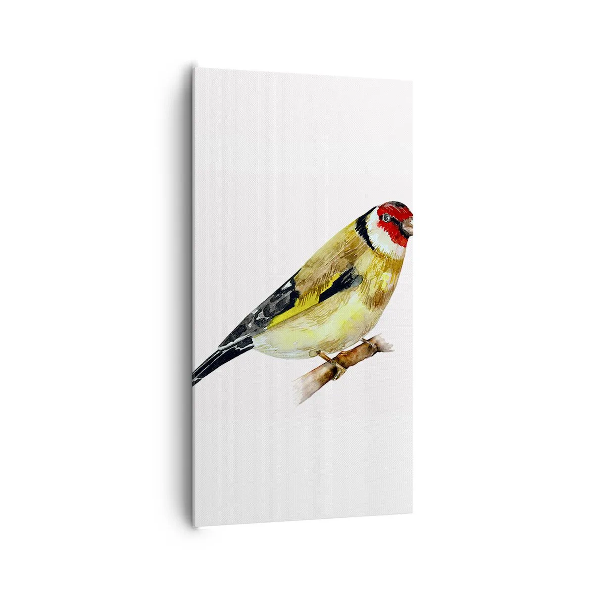 Impression sur toile - Image sur toile - Portrait d'oiseau - 65x120 cm