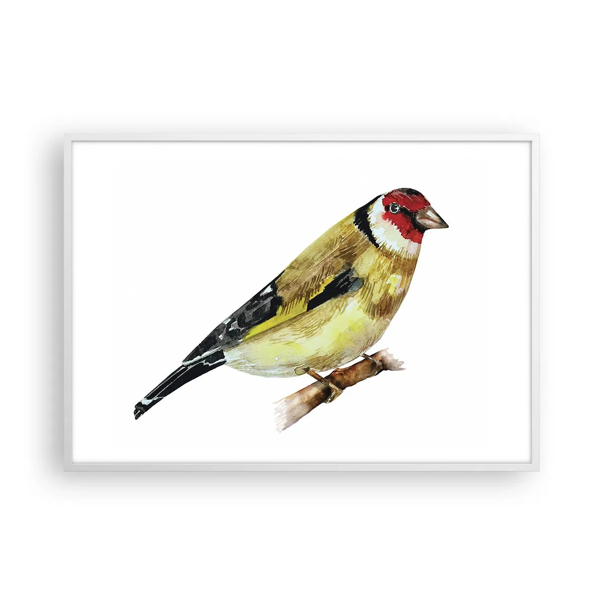 Affiche dans un cadre blanc - Poster - Portrait d'oiseau - 100x70 cm
