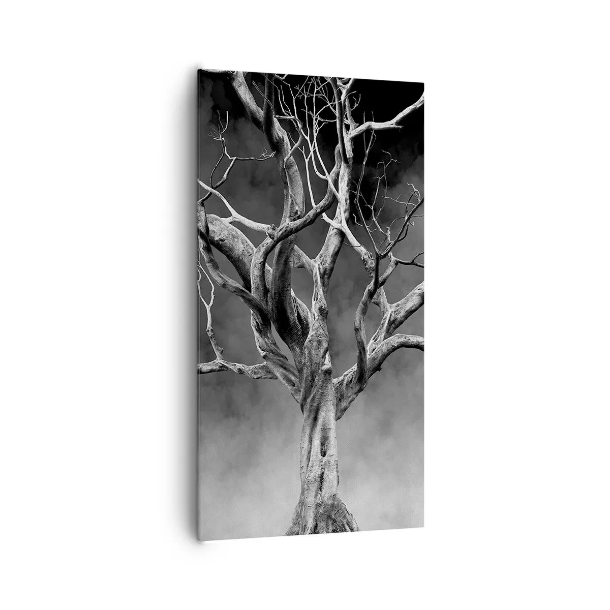 Impression sur toile - Image sur toile - Primordial et sacré - 65x120 cm