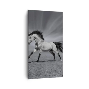 Impression sur toile - Image sur toile - Né pour séduire - 45x80 cm