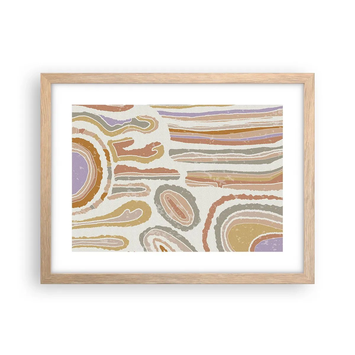 Affiche dans un chêne clair - Poster - Coupes transversales colorées - 40x30 cm