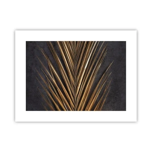 Affiche - Poster - L'or des tropiques - 40x30 cm