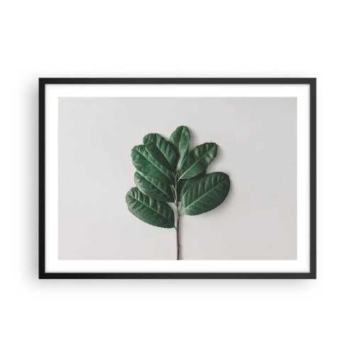 Affiche dans un cadre noir - Poster - Un brin de feuilles vertes sur un fond clair - 70x50cm - Dessin de la nature elle-même - Décoration murale moderne pour le salon et la chambre ARTTOR