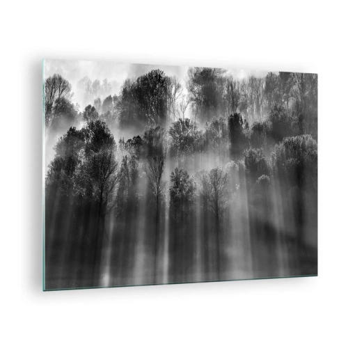Impression sur verre - Image sur verre - Des rayons de lumière noirs et blancs pénètrent la forêt - 70x50cm - Dans les flots de lumière - Décoration murale moderne pour le salon et la chambre ARTTOR