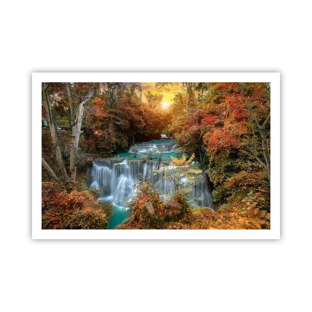 Affiche - Poster - Trésor caché de la forêt - 91x61 cm