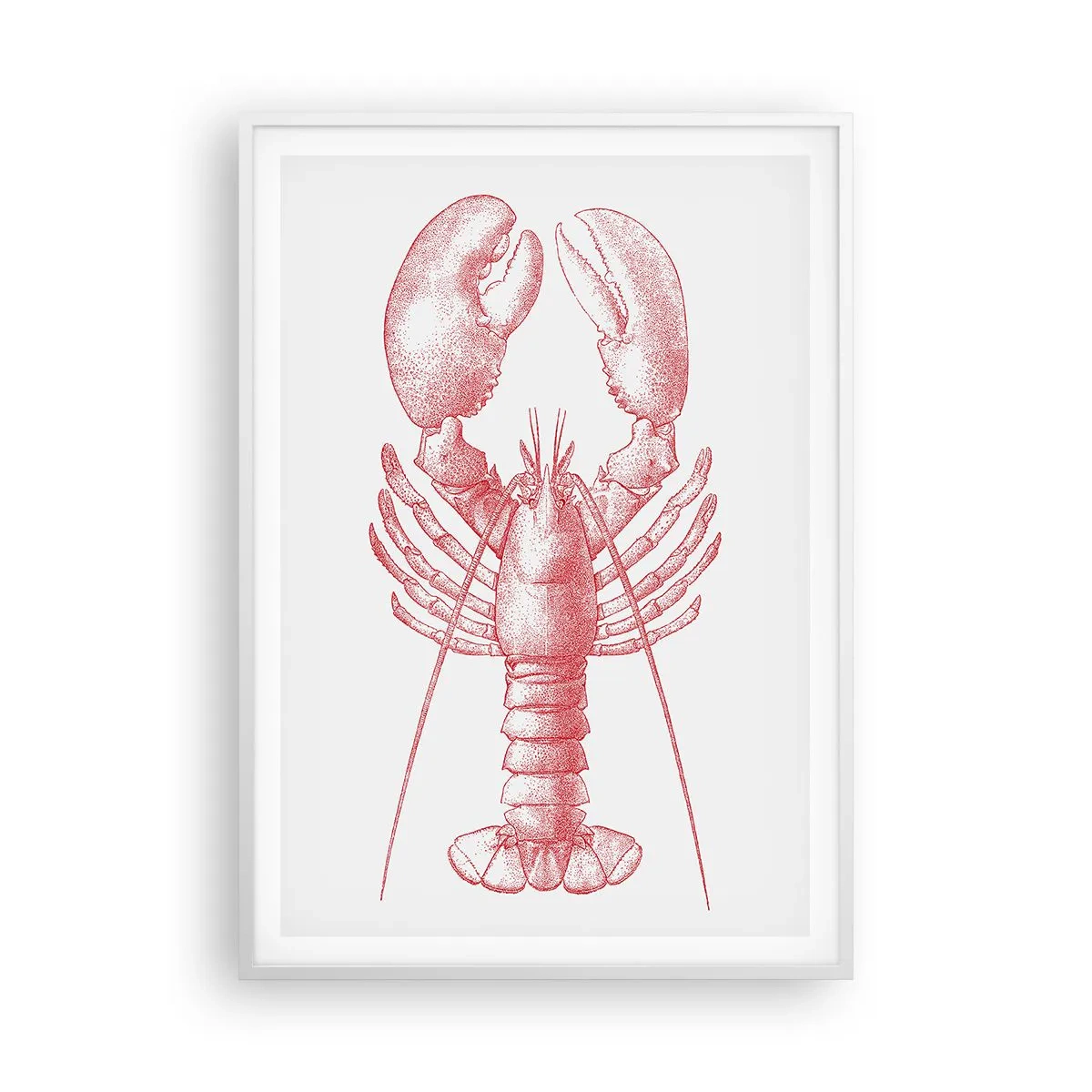 Affiche dans un cadre blanc - Poster - Un homard digne d'Homère - 70x100 cm