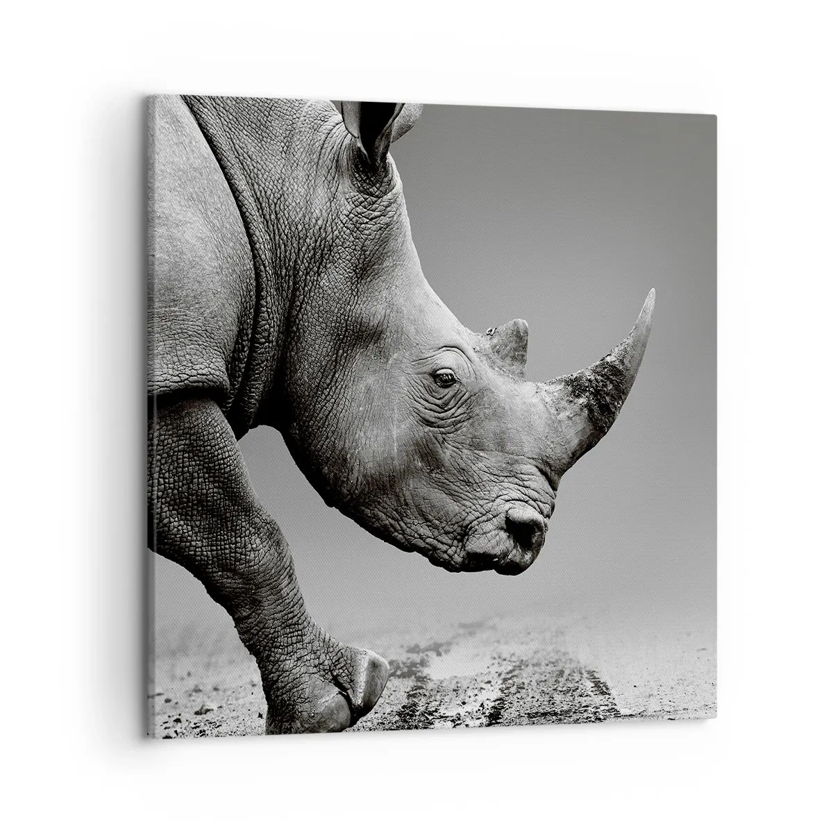 Impression sur toile - Image sur toile - Force inarrêtable - 50x50 cm