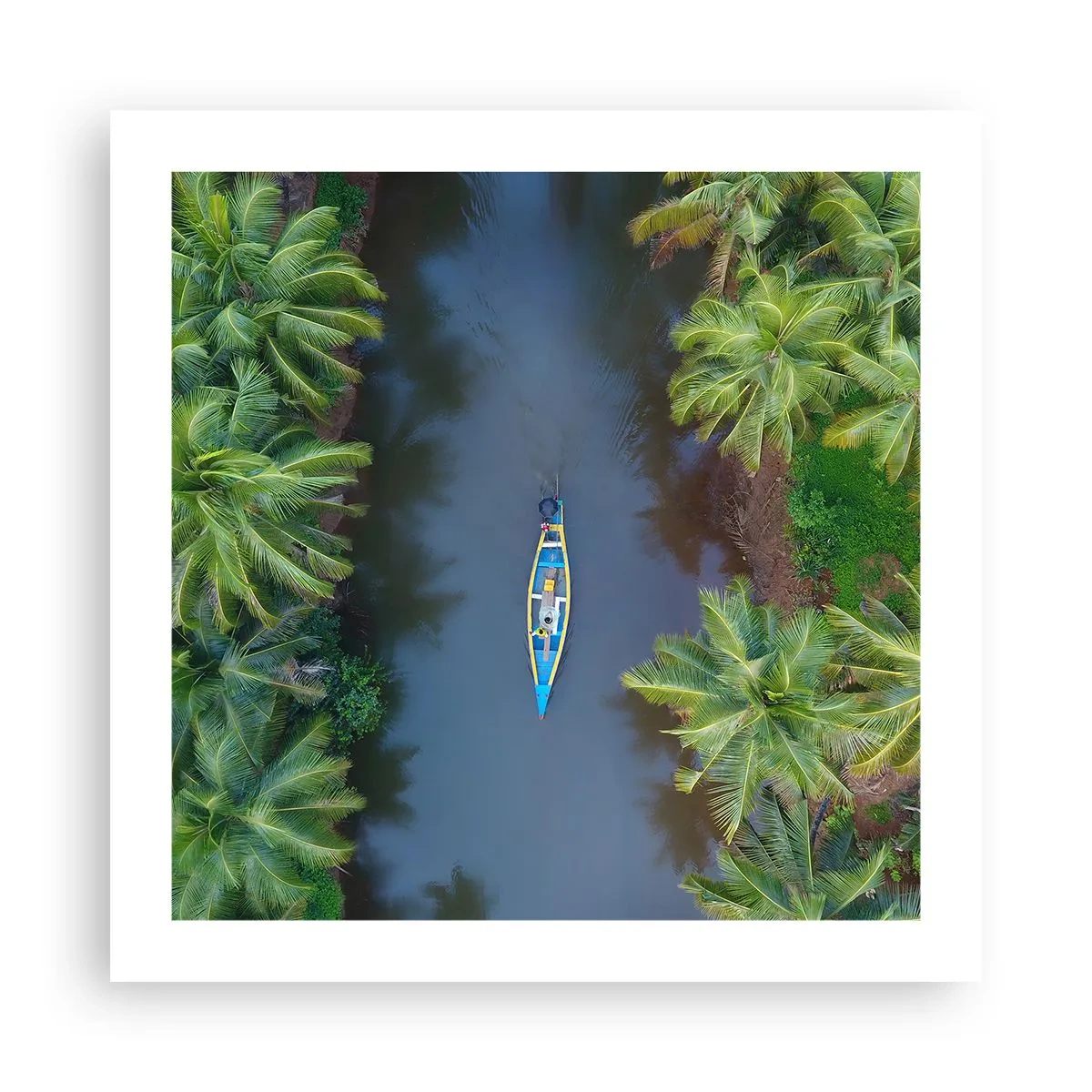 Affiche - Poster - Sur un sentier tropical - 50x50 cm
