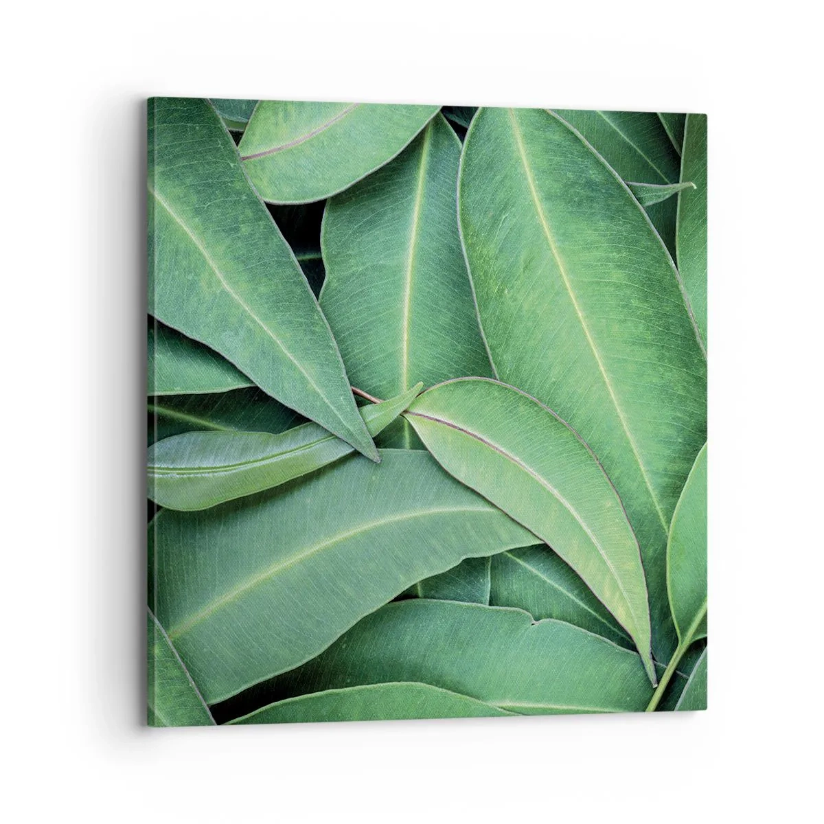 Impression sur toile - Image sur toile - Juteux et frais - 70x70 cm