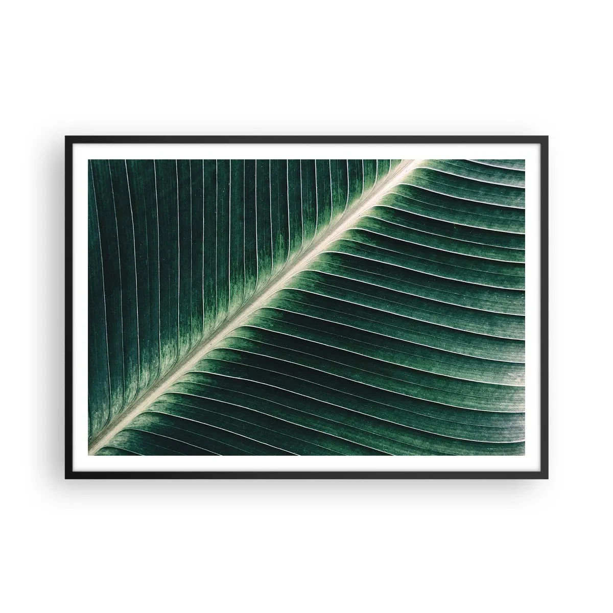 Affiche dans un cadre noir - Poster - Gros plan de la structure d'une feuille verte - 100x70cm - Le rythme de la nature - Décoration murale moderne pour le salon et la chambre ARTTOR