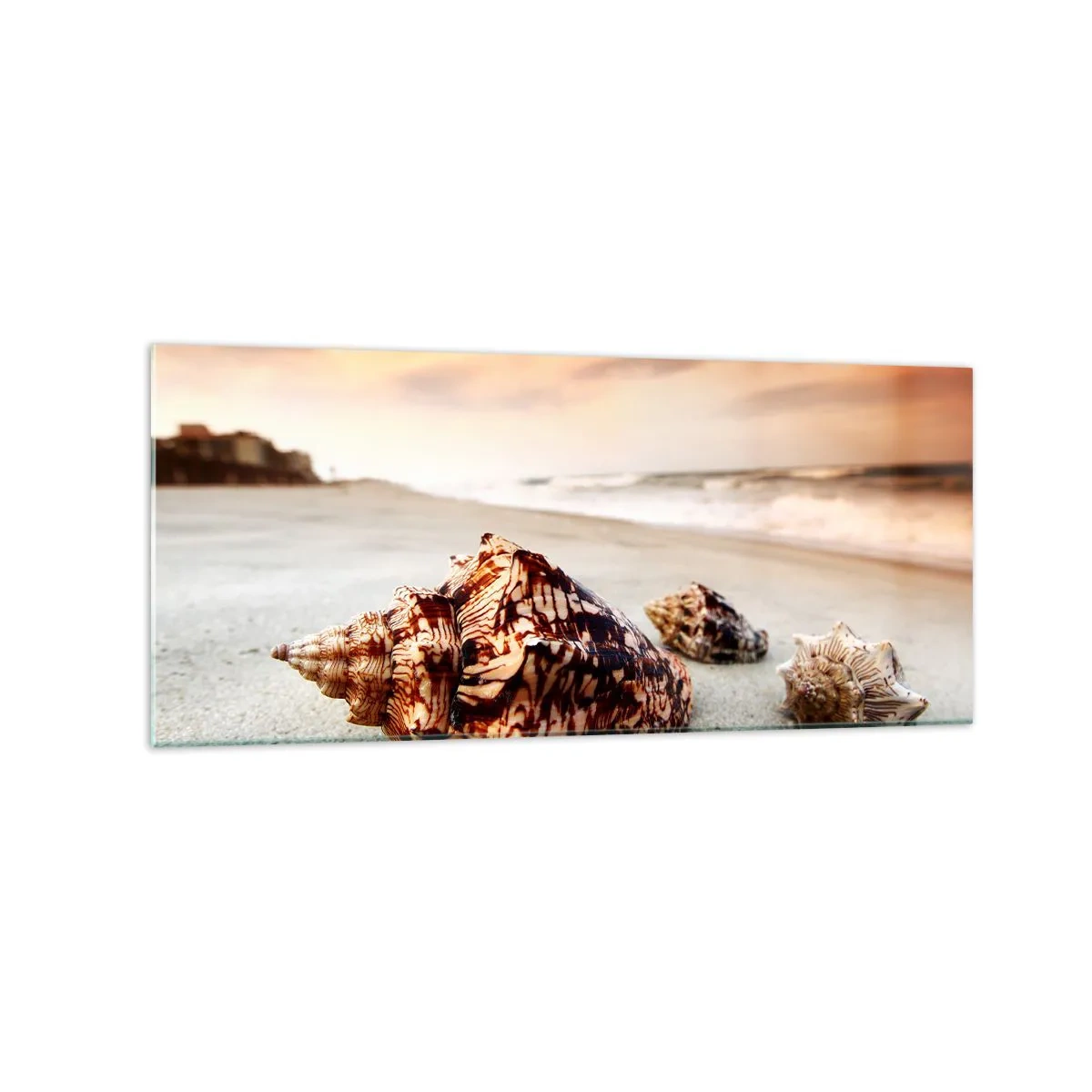 Impression sur verre - Image sur verre - Coquillages sur la plage au coucher du soleil - 120x50cm - Les parias des vagues - Décoration murale moderne pour le salon et la chambre ARTTOR
