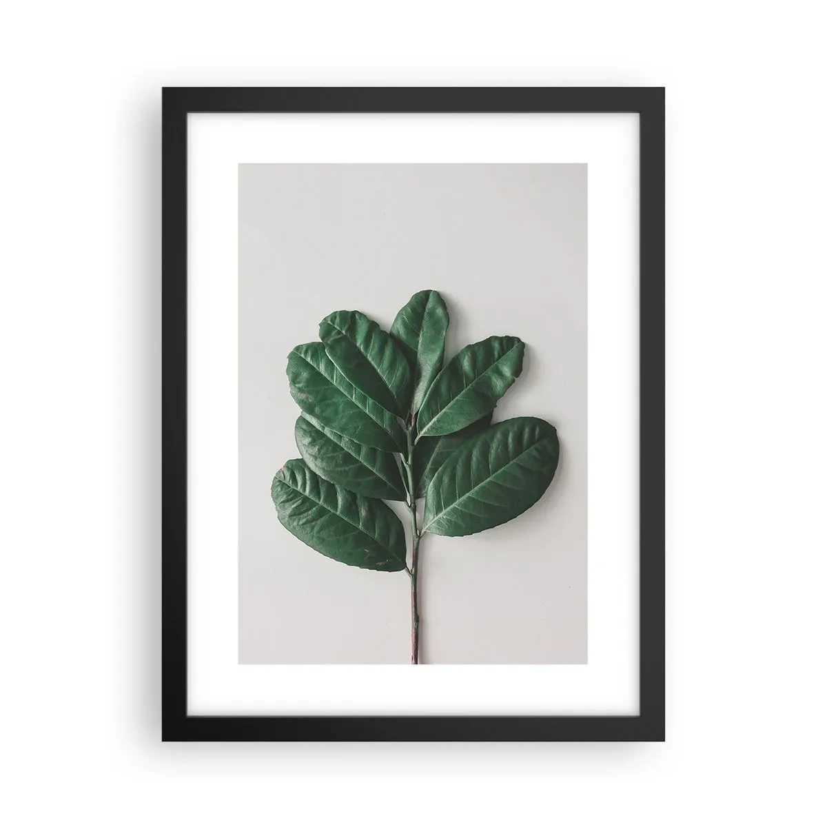 Affiche dans un cadre noir - Poster - Dessin de la nature elle-même - 30x40 cm