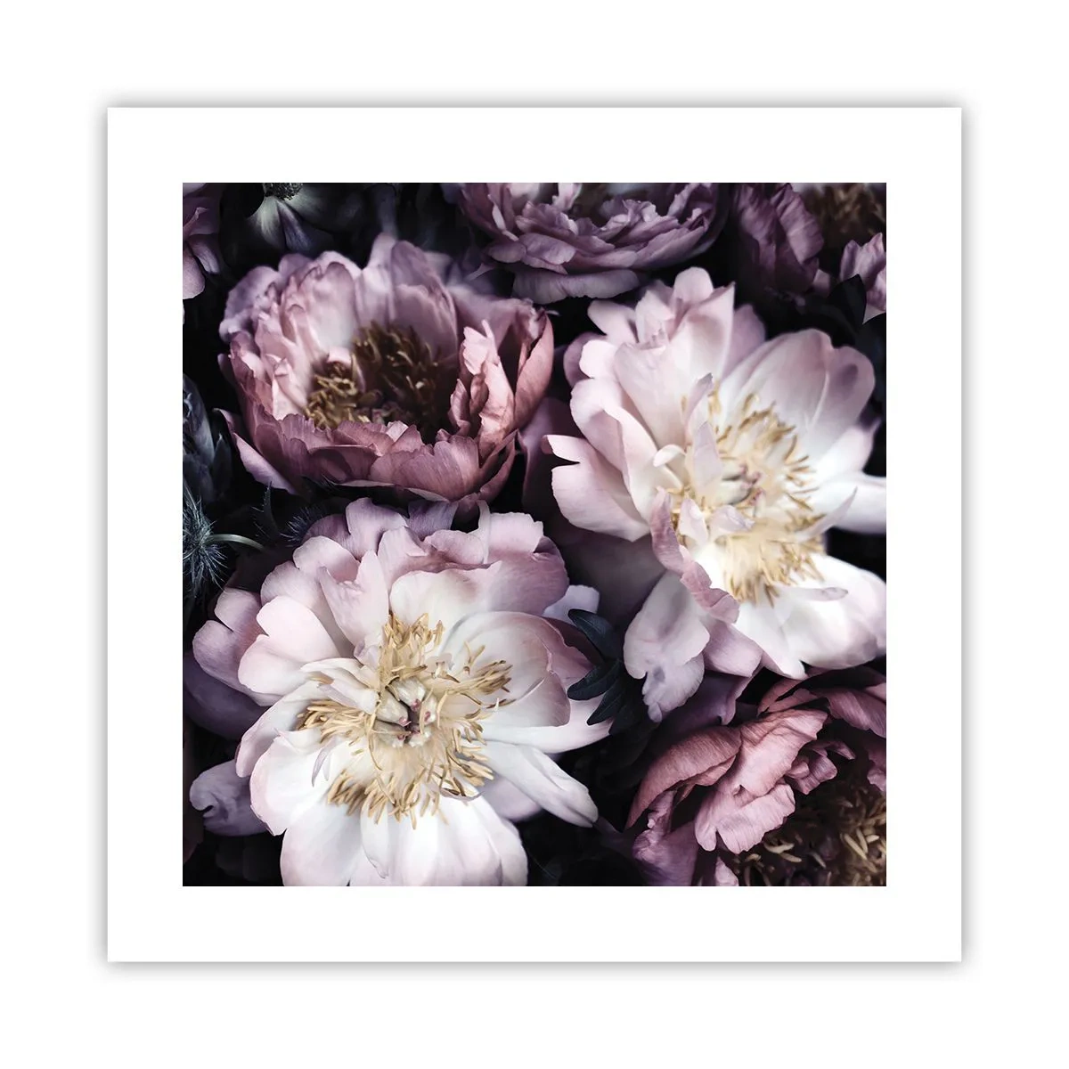 Affiche - Poster - Bouquet à l'ancienne - 40x40 cm