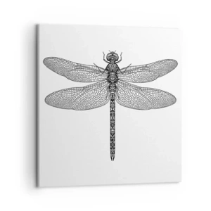 Impression sur toile - Image sur toile - Précision de la nature - 50x50 cm