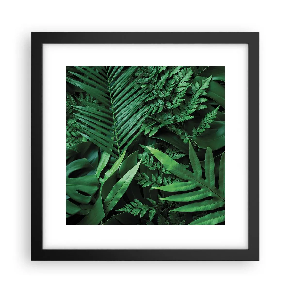 Affiche dans un cadre noir - Poster - Emmitouflé de verdure - 30x30 cm