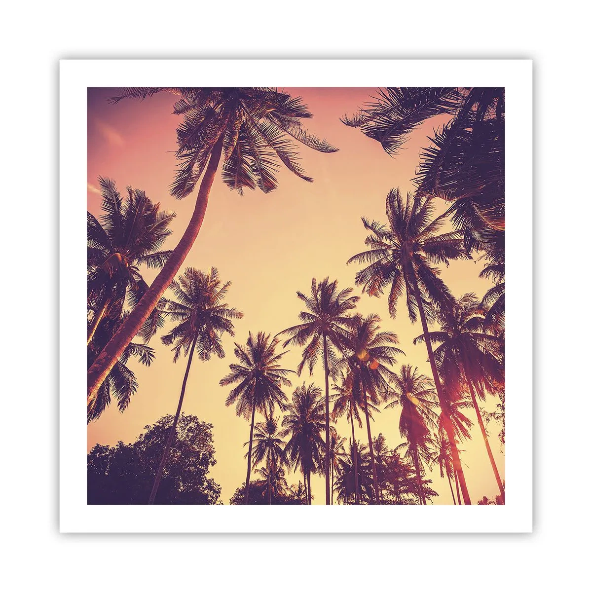 Affiche - Poster - Variation tropicale - 60x60 cm