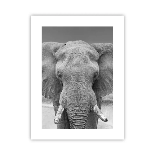 Affiche - Poster - Bienvenue dans mon monde - 30x40 cm