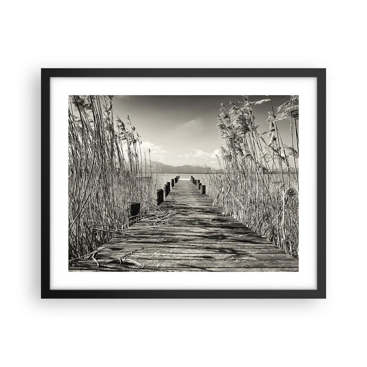 Affiche dans un cadre noir - Poster - Dans le calme de l'herbe - 50x40 cm