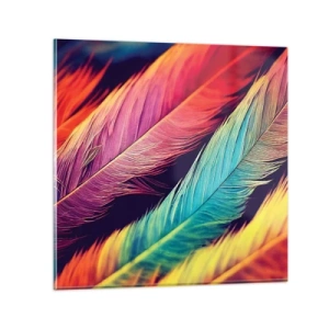 Impression sur verre - Image sur verre - Arc-en-ciel de plumes - 70x70 cm