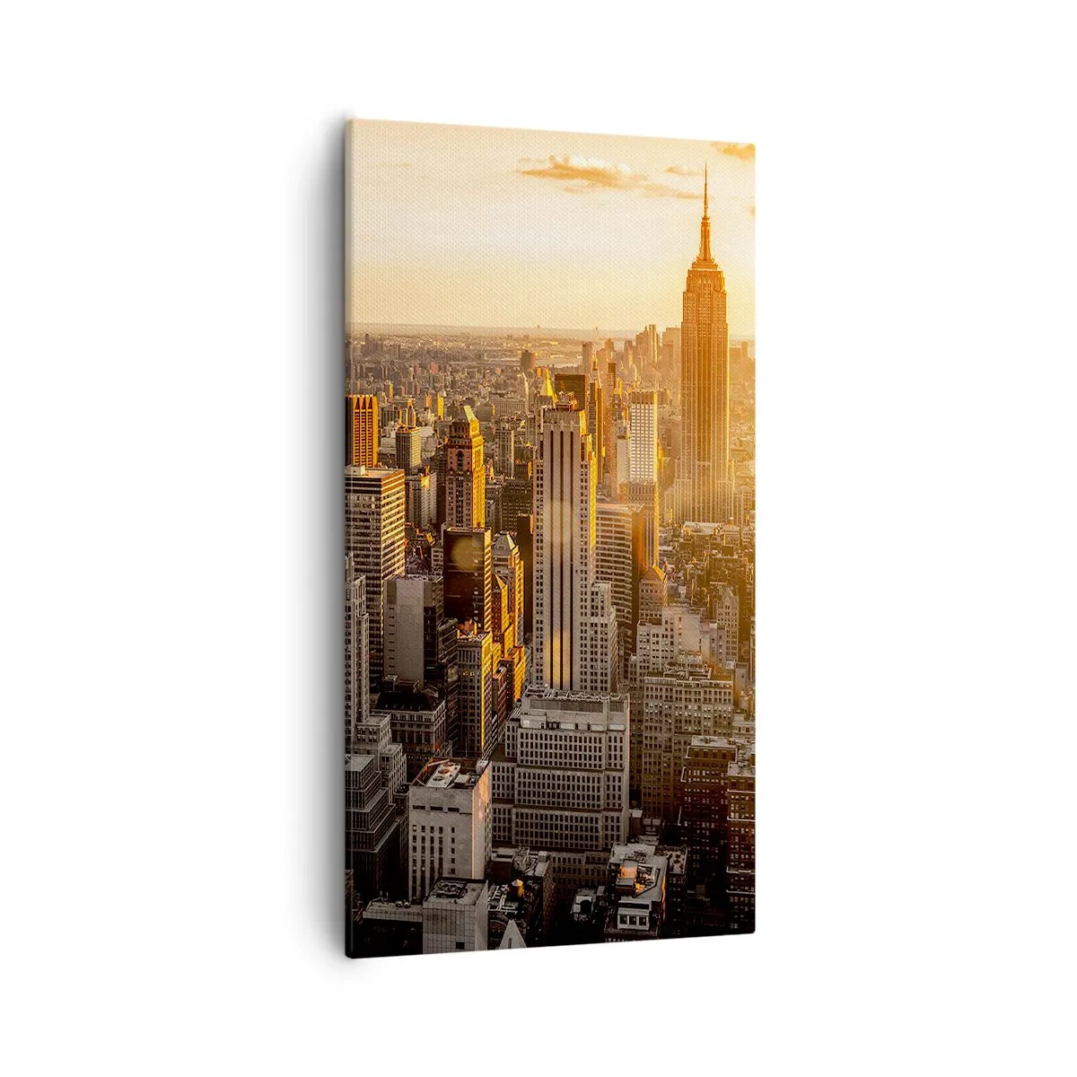 Impression sur toile - Image sur toile - Grandir au soleil - 55x100 cm