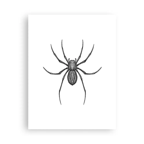 Affiche - Poster - Une précision troublante - 30x40 cm