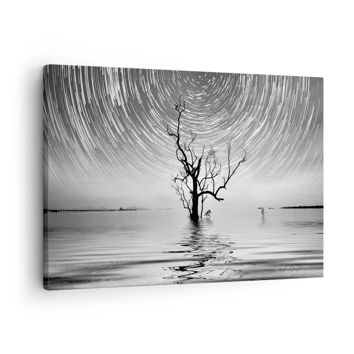 Impression sur toile - Image sur toile - Un arbre dans l'eau sous un ciel nocturne avec des étoiles en mouvement - 70x50cm - La symphonie de la nature - Décoration murale moderne pour le salon et la chambre ARTTOR