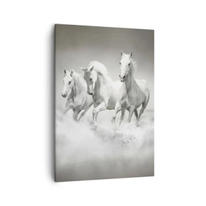 Impression sur toile - Image sur toile - Trois chevaux blancs galopant dans l'eau - 50x70cm - La folie blanche - Décoration murale moderne pour le salon et la chambre ARTTOR