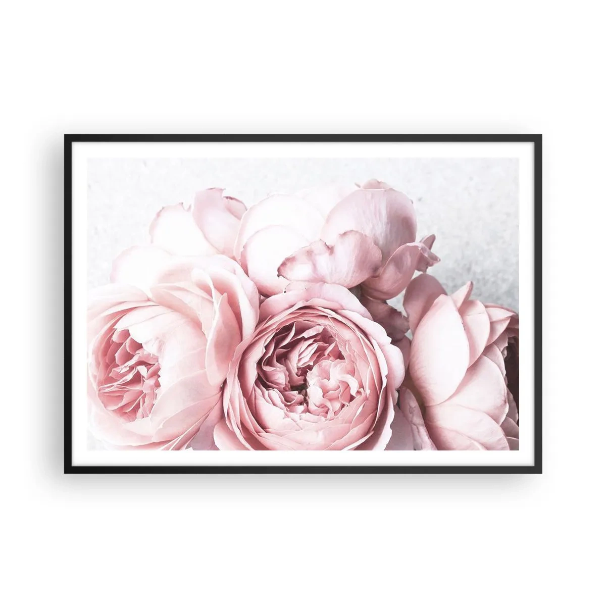 Affiche dans un cadre noir - Poster - Pivoines roses dans une lumière douce sur un fond clair - 100x70cm - Pour les romantiques - Décoration murale moderne pour le salon et la chambre ARTTOR