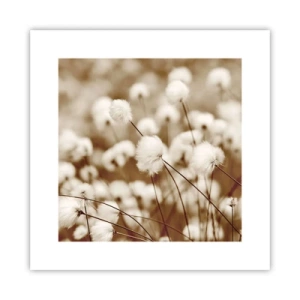 Affiche - Poster - Tige moelleuse - 30x30 cm