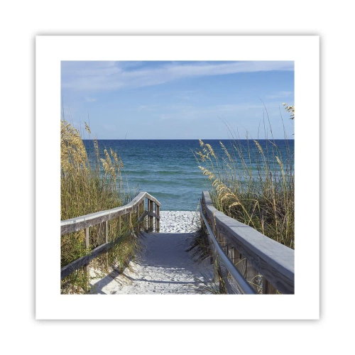 Affiche - Poster - Au soleil, sous le vent - 40x40 cm