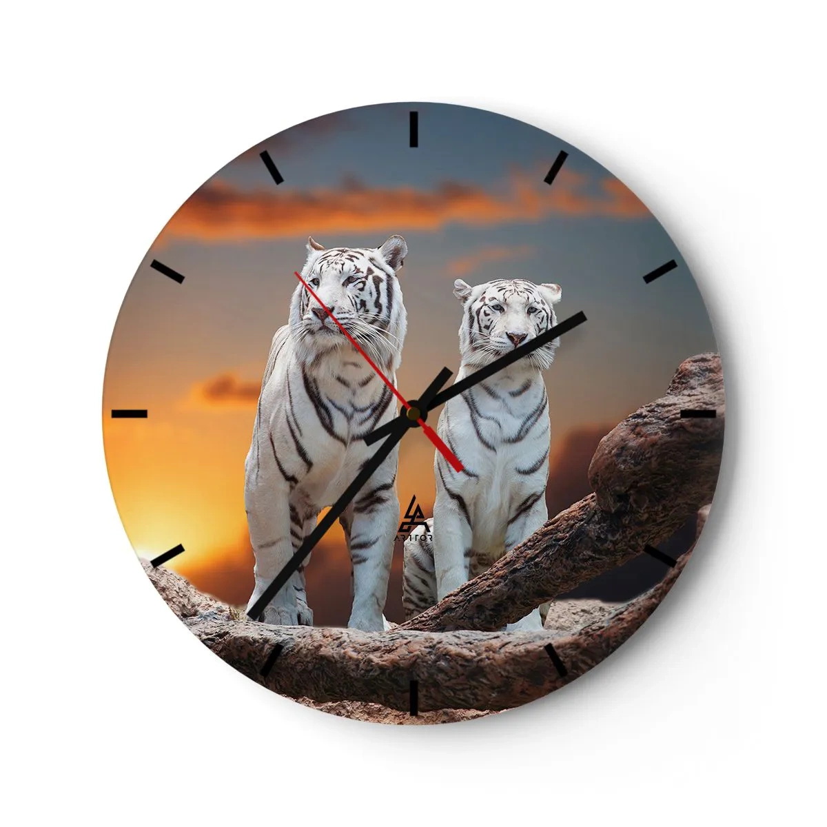 Horloge murale - Pendule murale - Tigres blancs sur fond de coucher de soleil - 30x30cm - Tout comme à Narnia - Décoration murale moderne pour le salon, la cuisine et la chambre ARTTOR