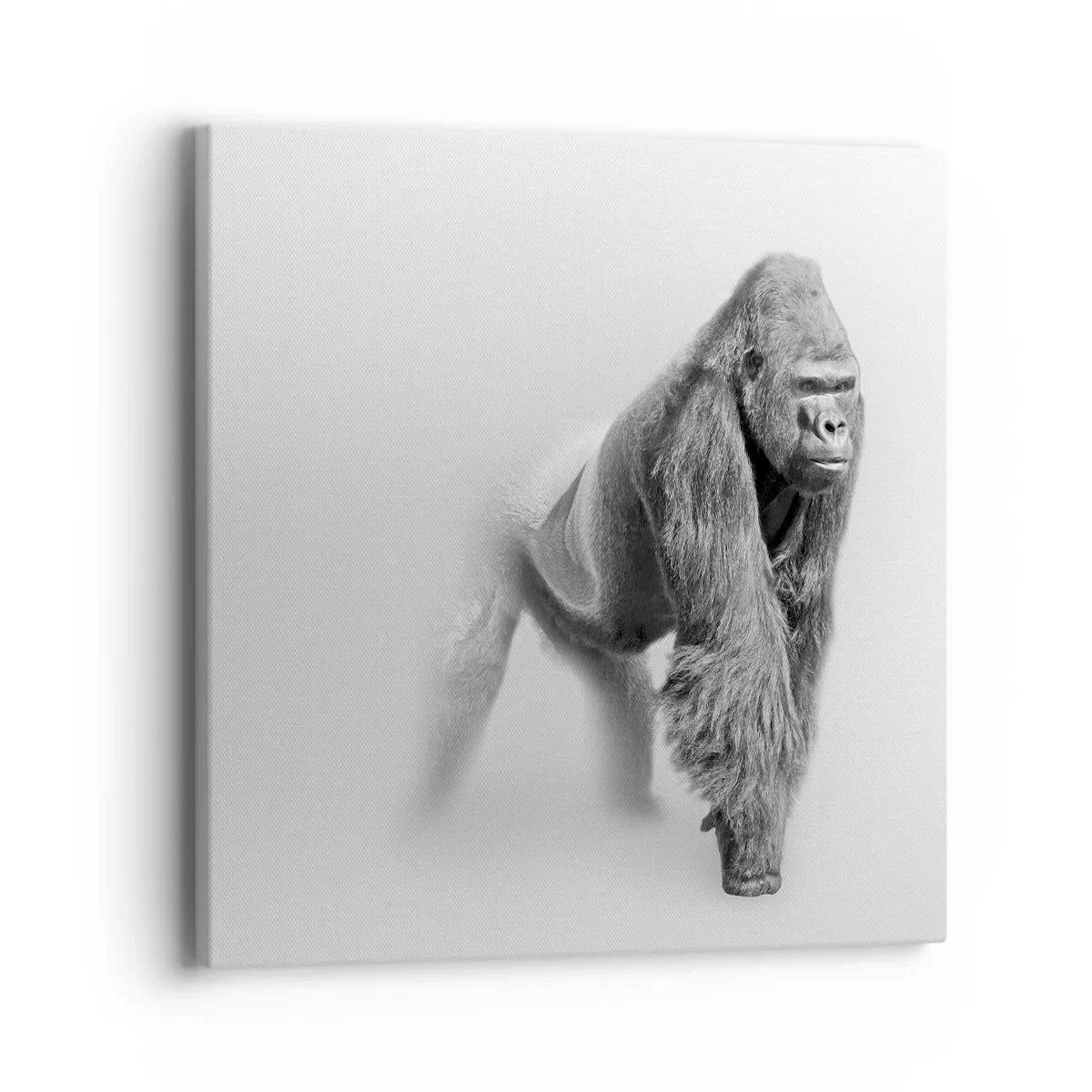 Impression sur toile - Image sur toile - Confiant en sa force - 40x40 cm