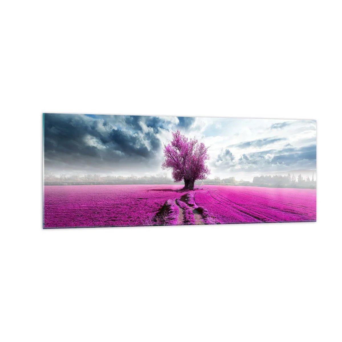 Impression sur verre - Image sur verre - Un arbre solitaire dans un champ dans une nuance de rose intense - 140x50cm - Lande - nature sauvage - Décoration murale moderne pour le salon et la chambre ARTTOR