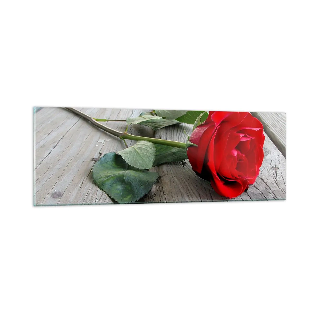 Impression sur verre - Image sur verre - Étude écarlate - 90x30 cm