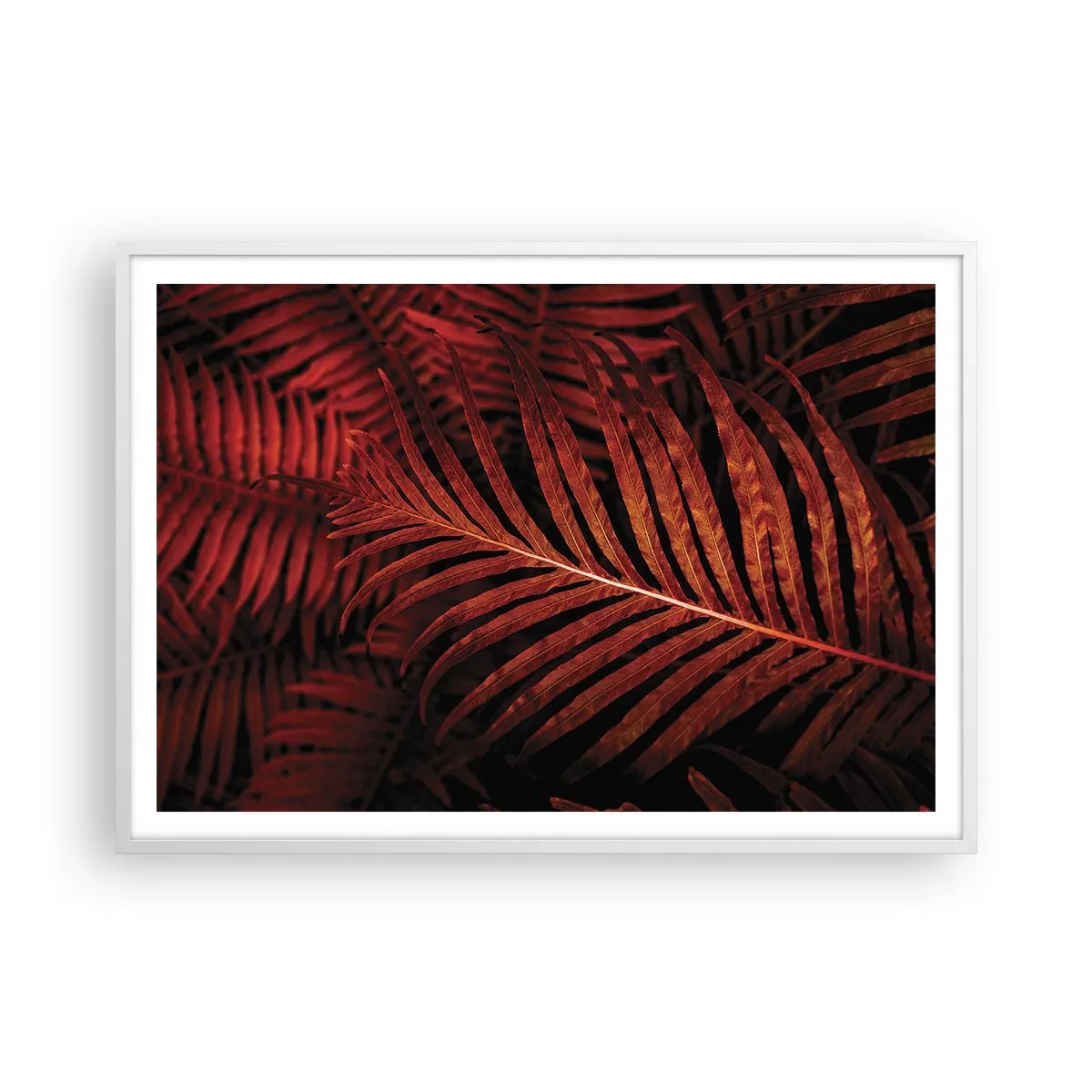 Affiche dans un cadre blanc - Poster - Chaleur de la vie - 100x70 cm