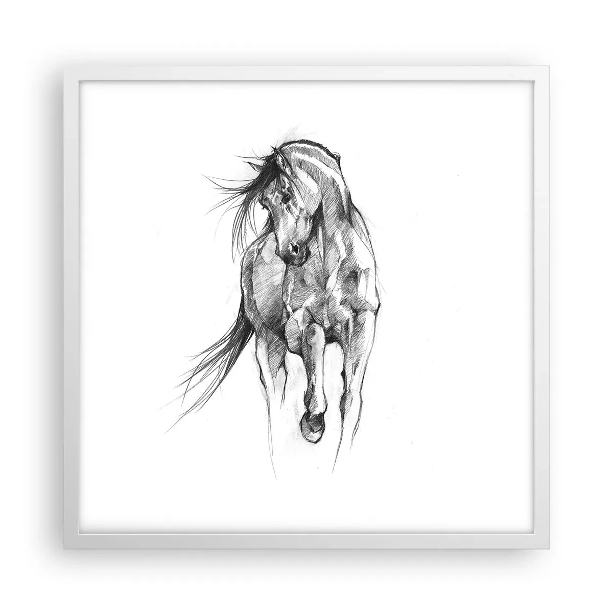 Affiche dans un cadre blanc - Poster - D'un trot gracieux - 50x50 cm