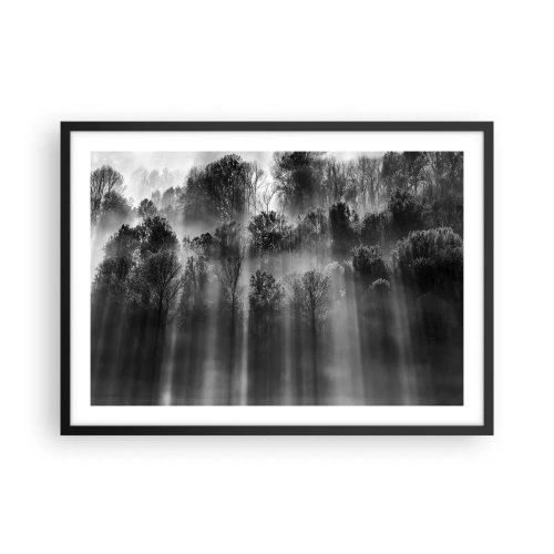 Affiche dans un cadre noir - Poster - Forêt noire et blanche dans la lumière du matin - 70x50cm - Dans les flots de lumière - Décoration murale moderne pour le salon et la chambre ARTTOR