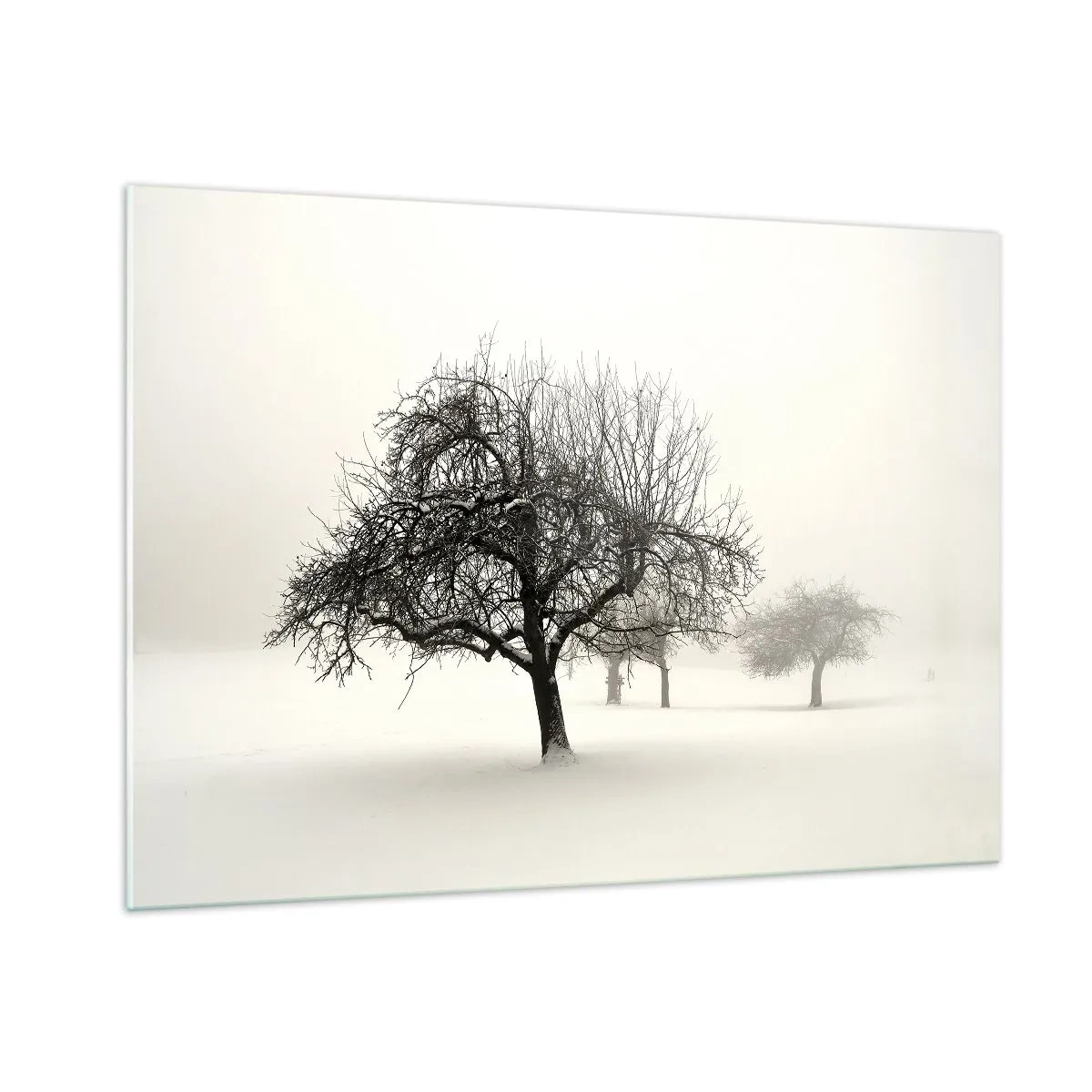 Impression sur verre - Image sur verre - Arbres dans un paysage hivernal recouvert de neige et de brouillard - 100x70cm - Un rêve hivernal - Décoration murale moderne pour le salon et la chambre ARTTOR