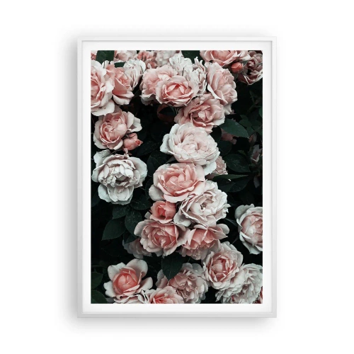 Affiche dans un cadre blanc - Poster - Ensemble de rose - 70x100 cm