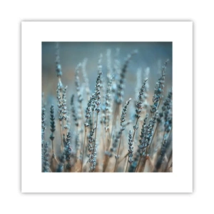 Affiche - Poster - Tige odorante - 30x30 cm