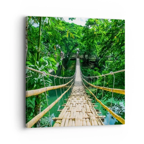 Impression sur toile - Image sur toile - Pont de singe en pleine nature - 40x40 cm