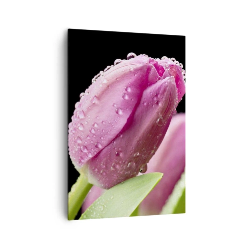 Impression sur toile - Image sur toile - Tulipe rose avec des gouttes d'eau sur fond noir - 70x100cm - Rêve de lilas dans la rosée - Décoration murale moderne pour le salon et la chambre ARTTOR