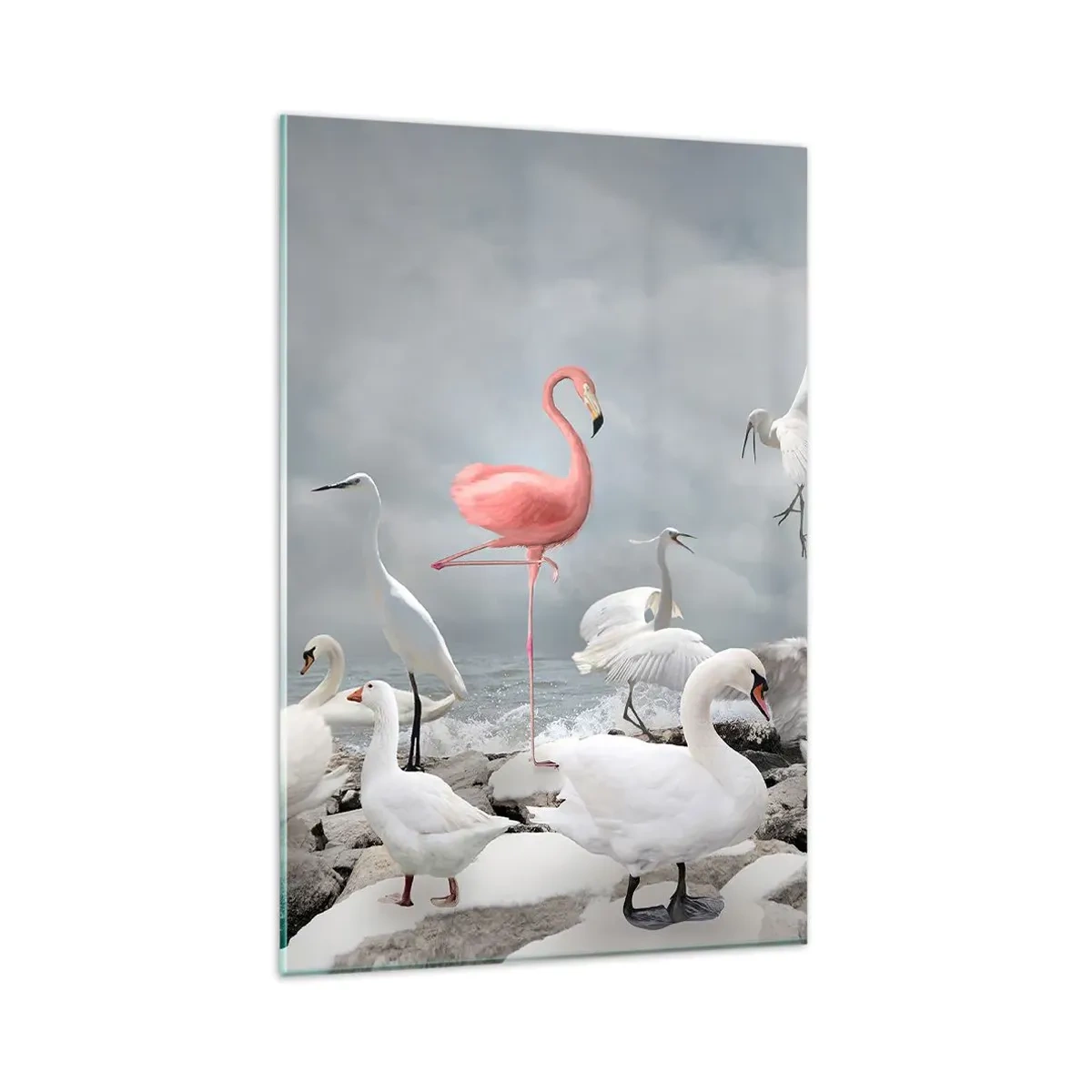 Impression sur verre - Image sur verre - Un flamant rose parmi des cygnes blancs sur fond de lac - 80x120cm - Comment suis-je arrivé là? - Décoration murale moderne pour le salon et la chambre ARTTOR